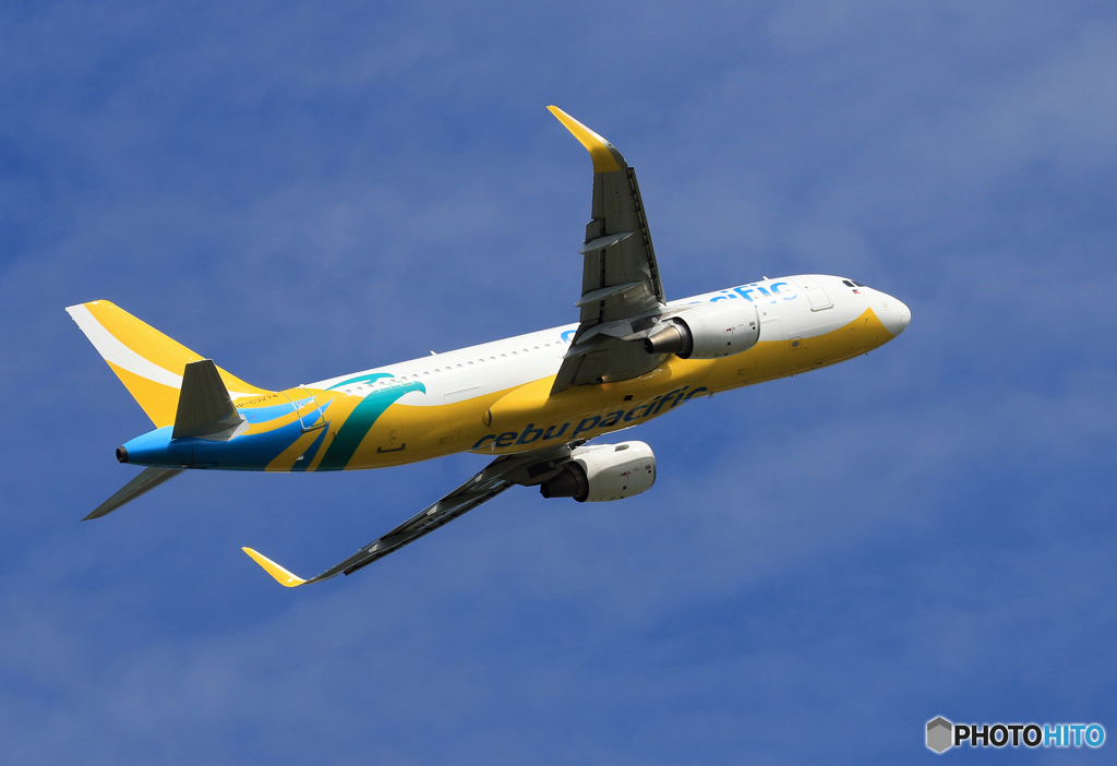 [青い空]　セブパシフィック A320 RP-C3274 出発