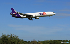 「そらー」 FedEx MD-11 N528FE 着陸です