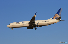 「ブルー」 United 737-800 ｼﾐﾀｰﾙｳｲﾝｸﾞﾚｯﾄ 