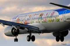 「あおぞら」 東北フラワージェット 飛行