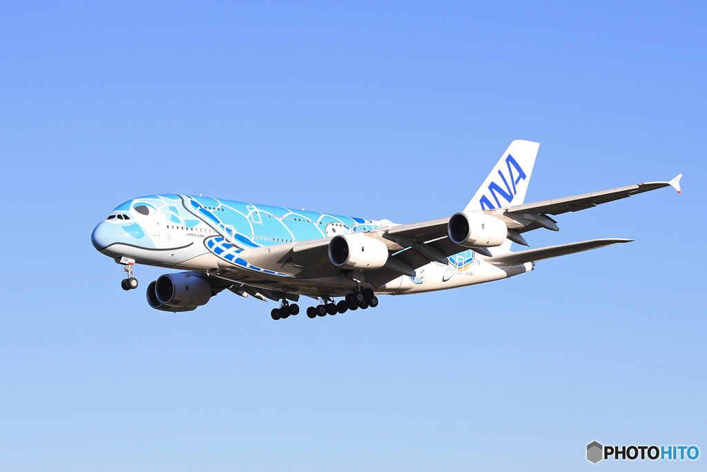 「ブルー」Flying Honu A380-841 Landing