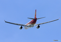 「ぶるー」 深圳航空 A330-343 B-LNR 飛ぶ
