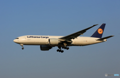 「青が大好き」 Lufthansa 777-FBT Landing 
