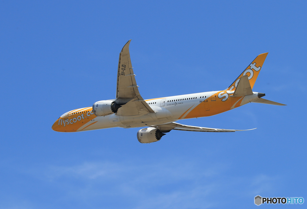 「青空」 scoot 787-9 9V-OJD 離陸します