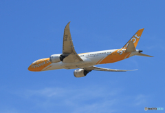 「青空」 scoot 787-9 9V-OJD 離陸します