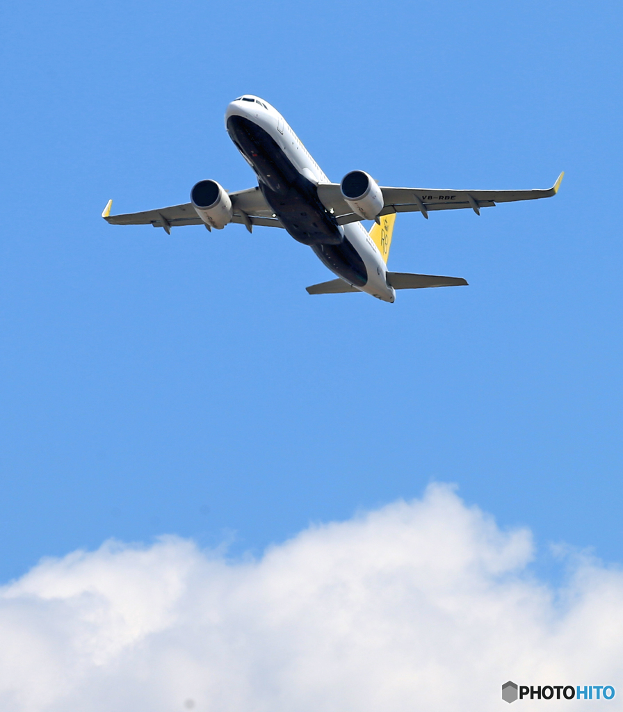 ☀「あおぞら」 ロイヤルブルネイA320-251N V8-RBE