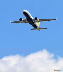 ☀「あおぞら」 ロイヤルブルネイA320-251N V8-RBE