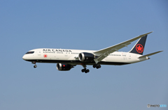 「そらー」 AIR CANADA B787-9 C-FVLX 着陸します