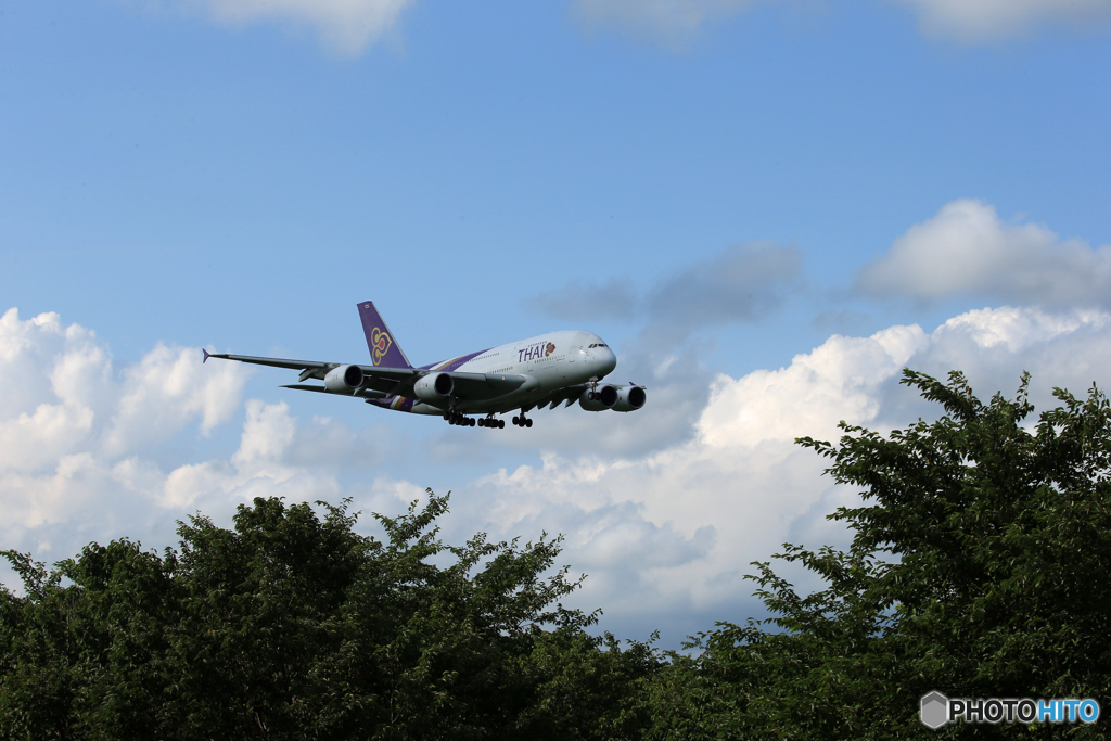 「青」 THAI A380-841 HS-TUC 着陸です