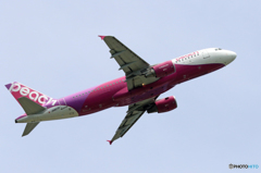 「はれ」 Peach A320-214 JA807P 離陸