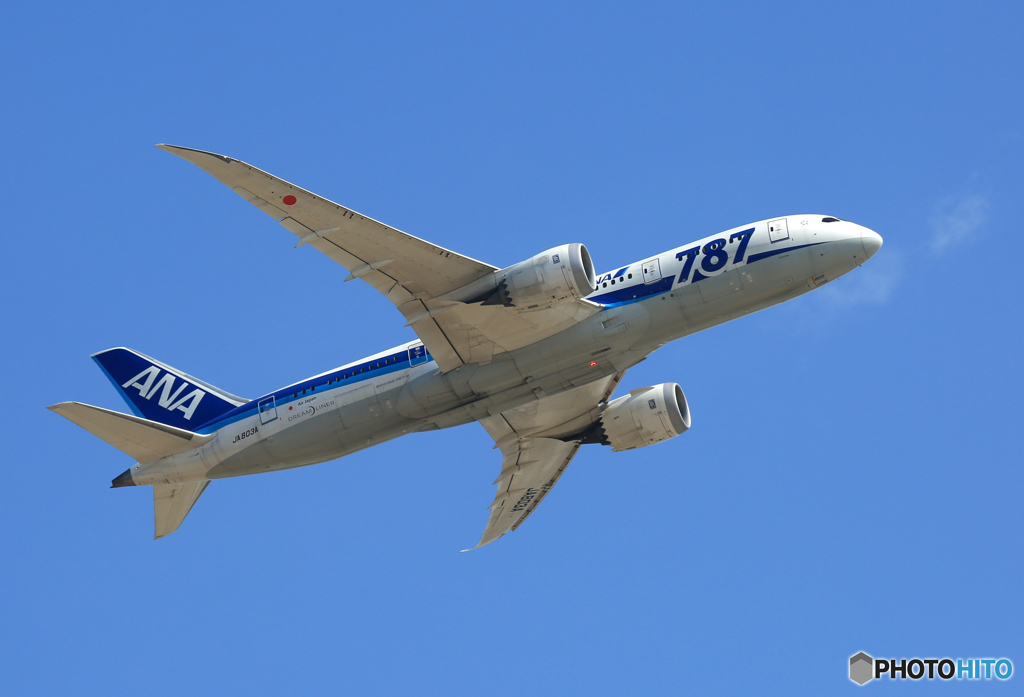 「青が好き」 ANA 787-8 JA803A 飛び立ちです 