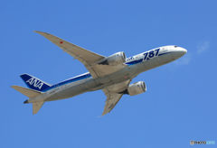 「青が好き」 ANA 787-8 JA803A 飛び立ちです 