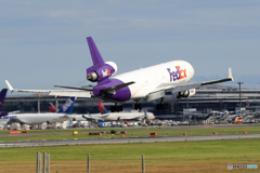 「ぶるー」 FedEx MD-11 N572FE 到着です