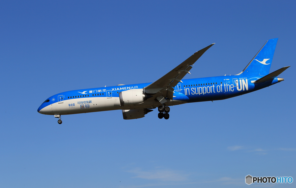「群青色」アモイ 特別塗装機 787-9   Landing