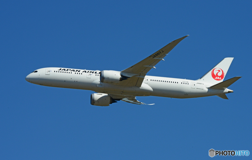 「青が大好き」☀ JAL 787-9 JA867J 飛行