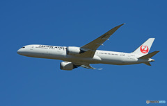 「青が大好き」☀ JAL 787-9 JA867J 飛行