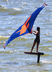 「cool」    華麗な・姿ですね！