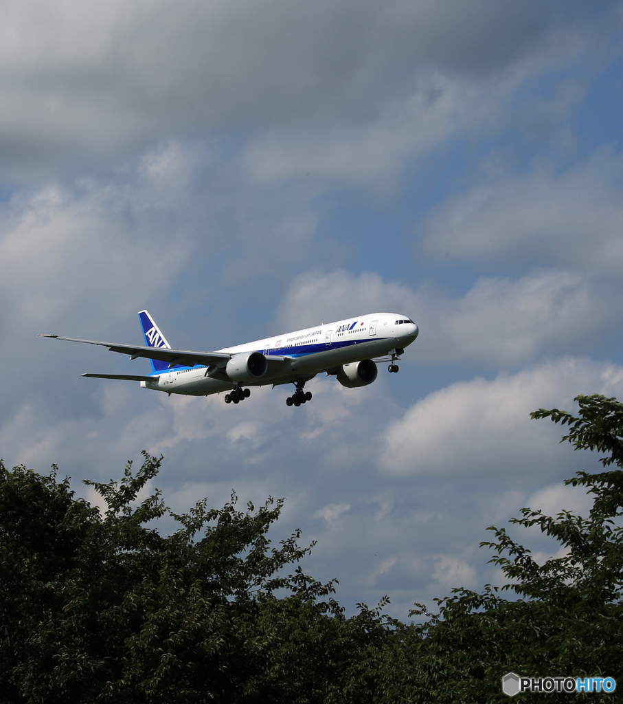「青が好き」 ANA 777-381 JA779A Landing