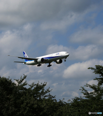 「青が好き」 ANA 777-381 JA779A Landing