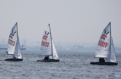 「SKY」東京湾のセーリング （１）