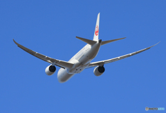 「空色」 JAL 787-9 JA871A Takeoff 