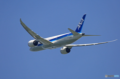 [青い空] ANA 787-8 JA823A 飛び立ちです