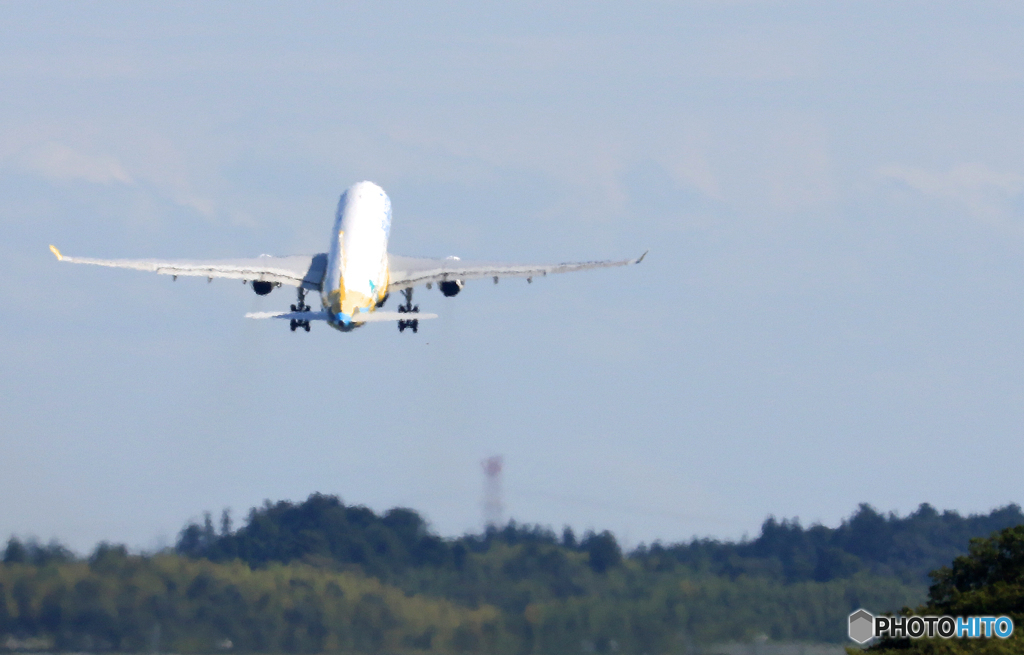 「真青の空」 CEBU A320 離陸です