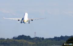 「真青の空」 CEBU A320 離陸です
