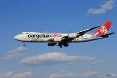 「青空」 Cargolux 747-8 特別塗装 Landing