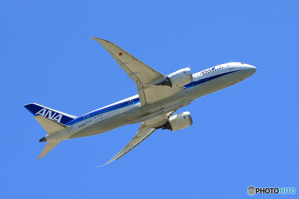 「青い空」が一番 ANA 787-8 JA803A Takeoff  
