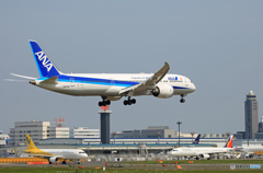 「良い天気」 ANA 787-9 JA875A 到着しました