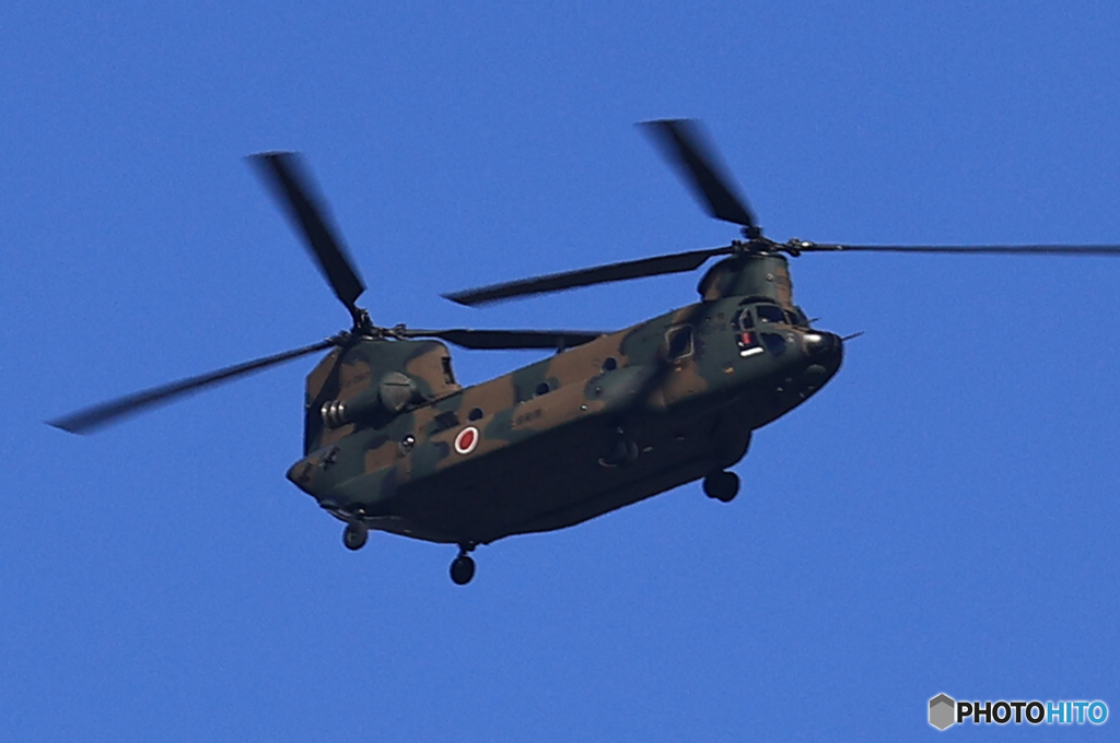 「青」☆ 日本を守ろう ☆