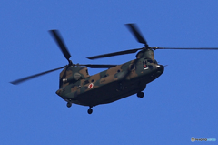 「青」☆ 日本を守ろう ☆