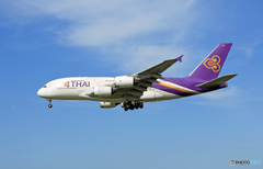 「すかい」 Thai A380-841 HS-TUA Landing