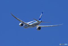 「良い天気」 ANA 787-8 JA806A Takeoff 