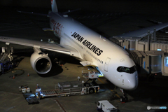 「はれー」JAL A350-941  出発準備中です