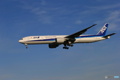 ANA 777-381 JA734A  Landing「青色が好き」