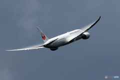「群青」JAL 787-9 JA867J 離陸　