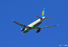 「青色」 ウズベキスタン A320-214 UK32019着陸です