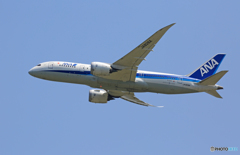 「良い天気」 ANA 787-8 JA828A Takeoff 