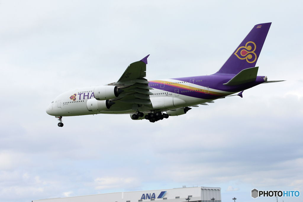 「曇り」THAI A380-841 HS-TUC   Landing