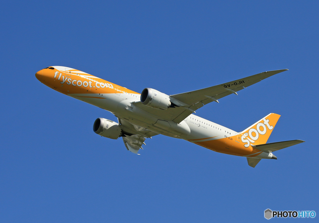「青が大好き」 scoot 787-8 9V-OJH 飛び立ち