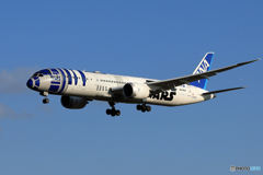 「良い天気」 Star Wars 787-8 JA873A 通過