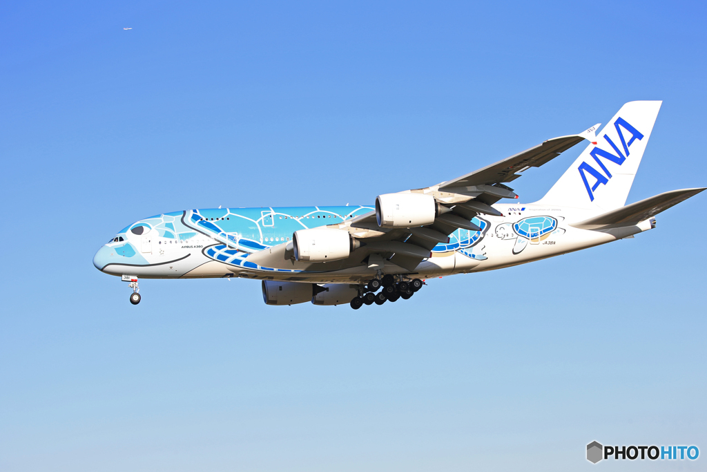 「あおぞら」Flying Honu A380-841 Landing