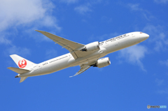 「青空」 JAL 787-9 JA867J 飛び立ちです