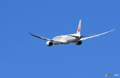 ☀「あおぞら」 JAL 787-9 JA869J Takeoff  