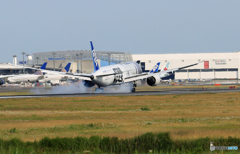 「青い空」が一番 ANA STAR WARS 787-9 JA873A