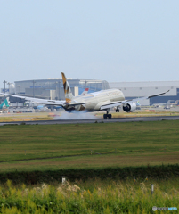 「はれー」 Etihad 787-9 A6-BLU 到着です