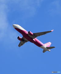 「Blue」Peach A320-214 JA13VA Takeoff 