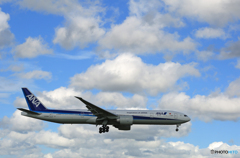 「青が好き」 ANA 777-381 JA790A 着陸します